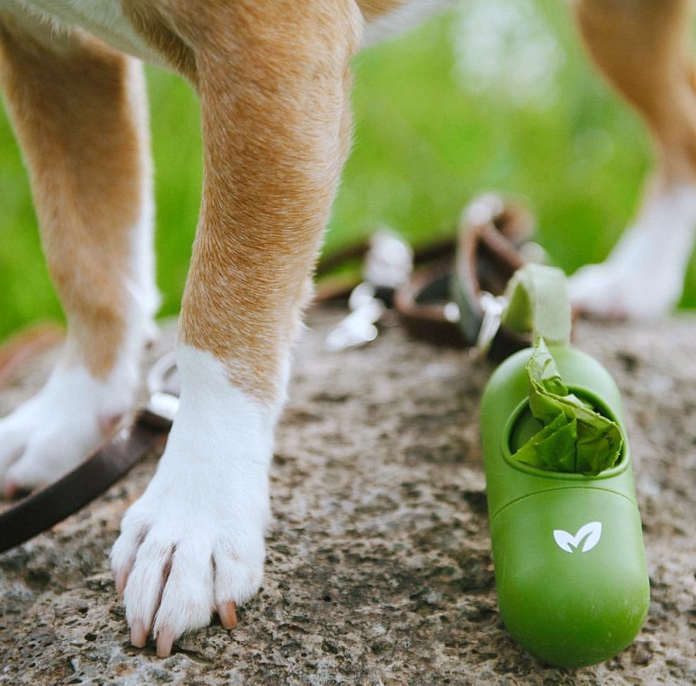 Screenshot_20170405-141437-01